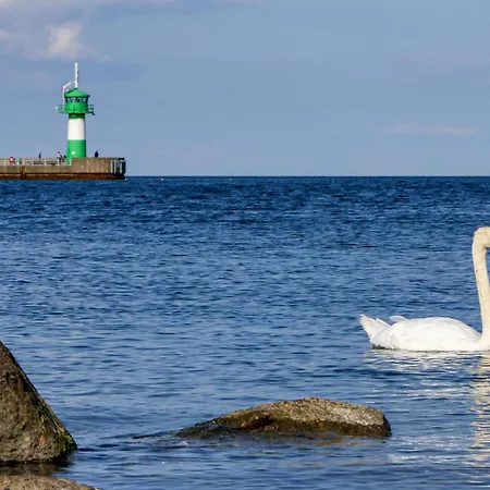 Dom wakacyjny Schatzkiste 16 - Dorf 4 Priwall