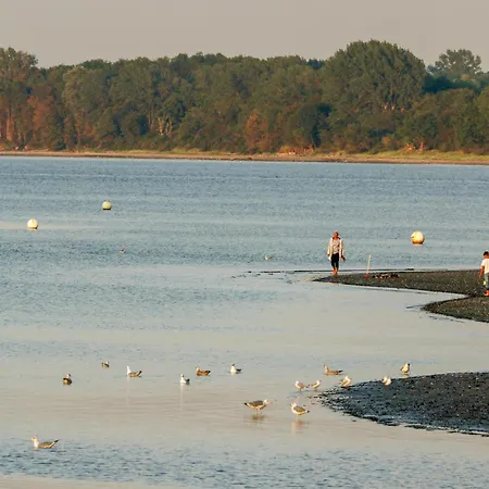 Schatzkiste 16 - Dorf 4 * Priwall